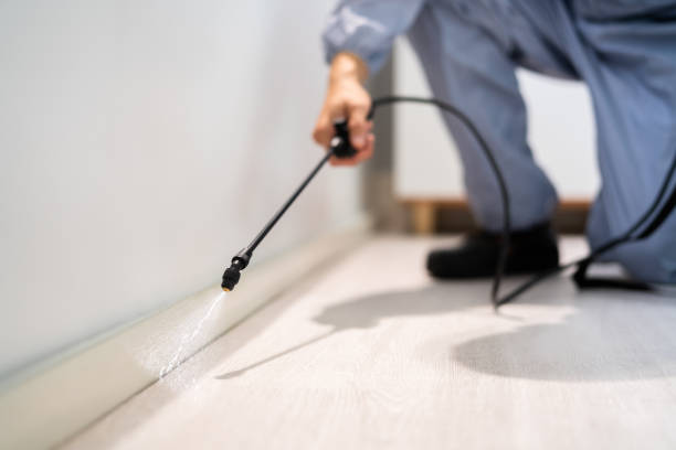 Licensed Pest Control service in Albers, IL - Show Me Pest Control