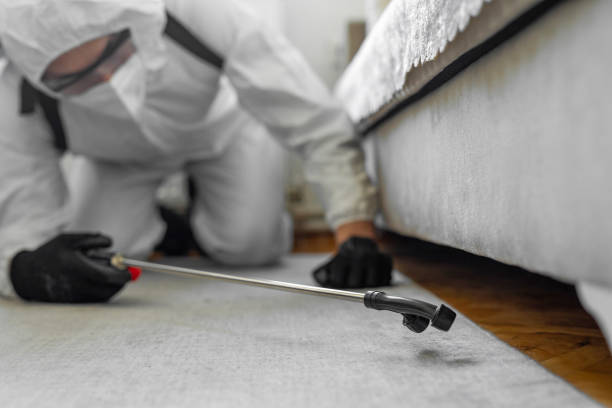 Professional Ant Control technician working in Albers, IL