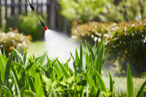 24/7 Emergency Mosquito Control experts in Albers, IL