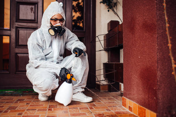 Reliable Mosquito Control contractor in Albers, IL by Show Me Pest Control